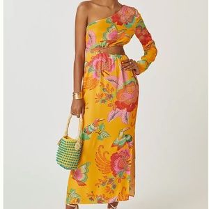 New Farm Rio x Anthropologie One Shoulder Maxi Dress